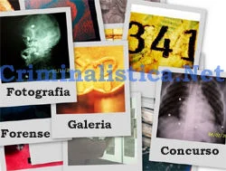 segundo concurso internacional de fotografía forense 273 fotos galeria criminalistica.net