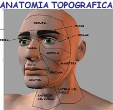 anatomia topográfica forense