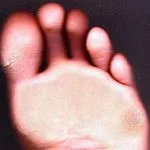 images impresionpalmar