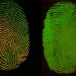 images 15mml010 fingerprint overlays cs