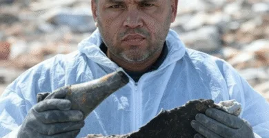 la ingeniería forense concepto y alcance 25 la ingeniería forense concepto y alcance